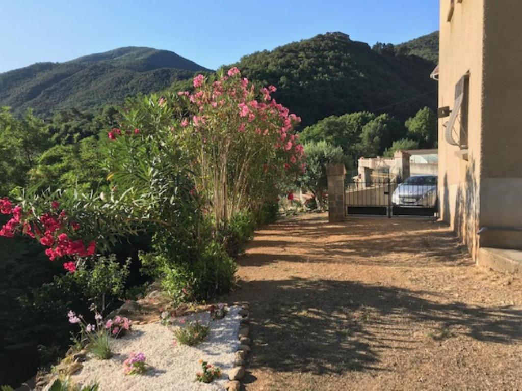Bel Appartement Type F3 Amélie-les-Bains-Palalda Екстериор снимка